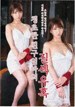 女性伦理剧她的第二人生海报